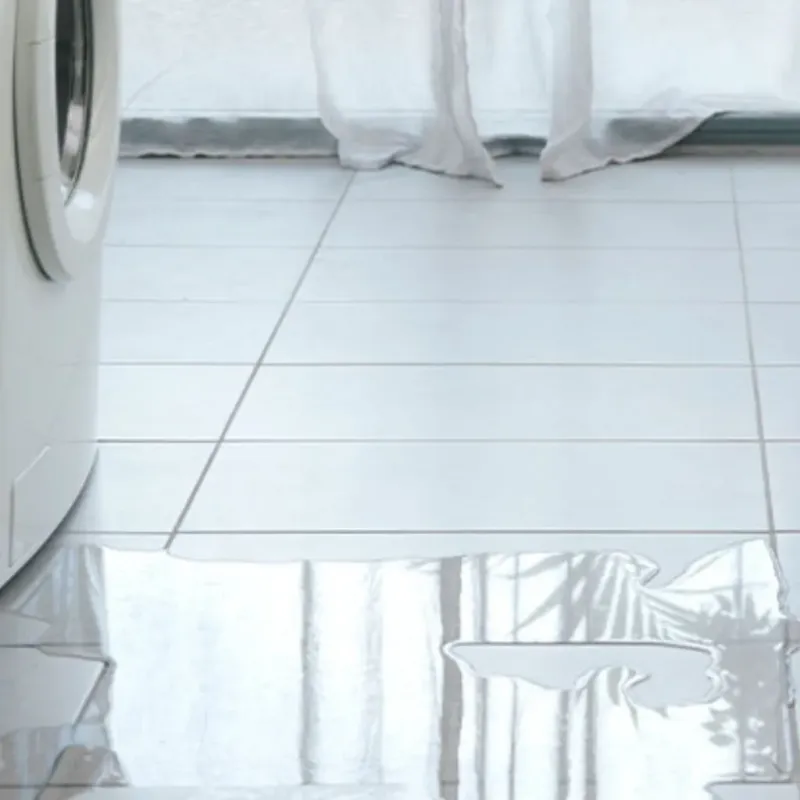 Appliance Leak Cleanup in Hunters Creek, FL